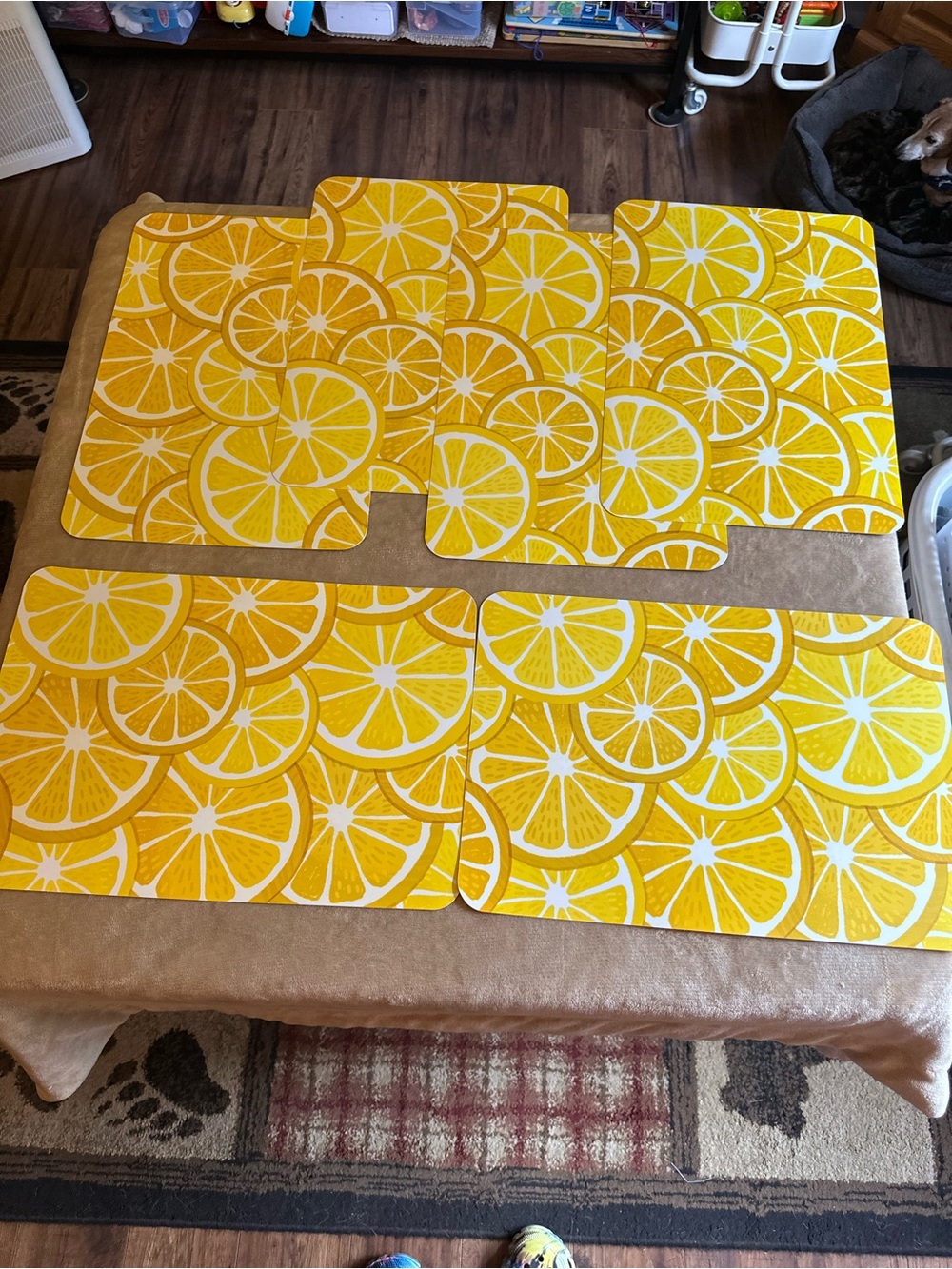 Hobby Lobby REVERSIBLE Yellow Lemon Slice Placemats Set OF 6